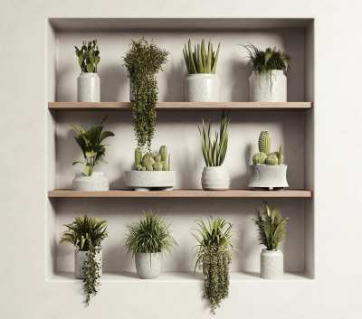 现代盆栽3D模型下载